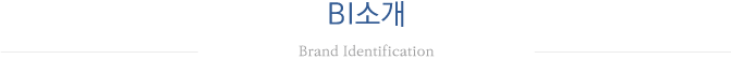 CI/BI 소개